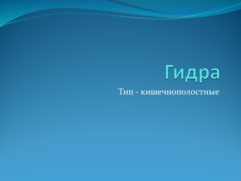 Кракен клир ссылка