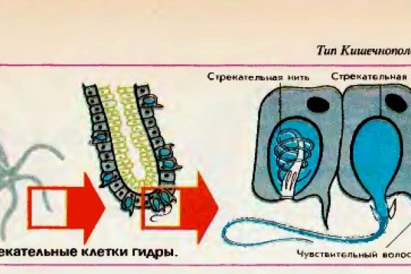 Кракен площадка vk2 top