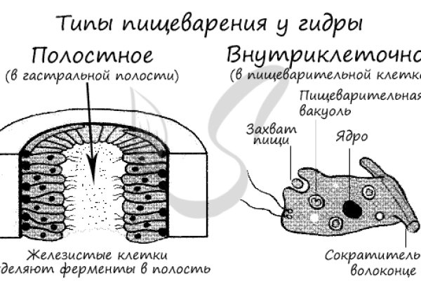 Кракен регистрация