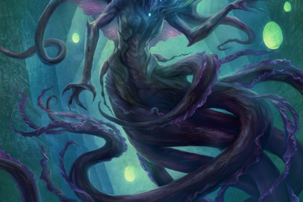 Kraken рабочий