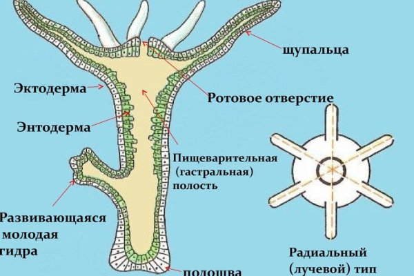 Что случилось с кракеном маркетплейс