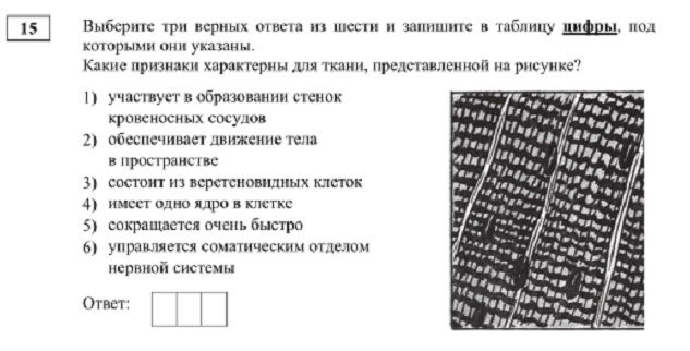 Как войти на кракен