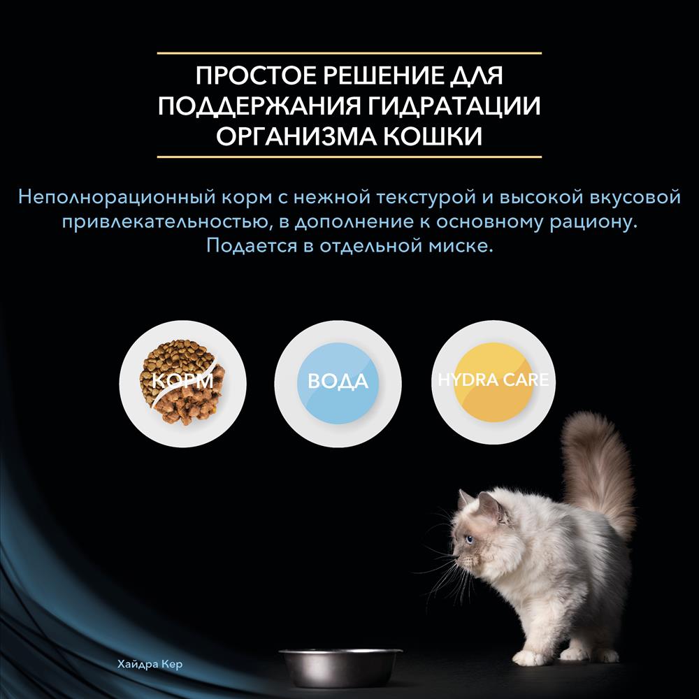 Kraken onion ссылка