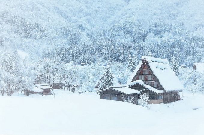 Кракен зеркало на тор